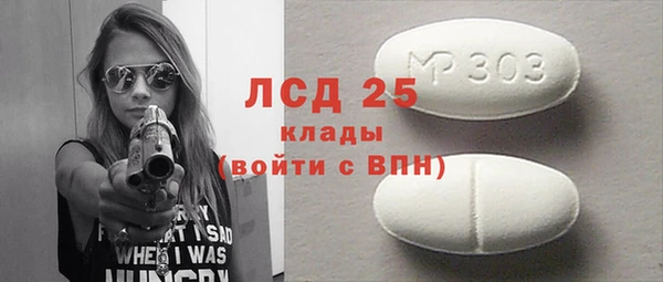 apvp Вяземский