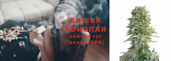 тгк Горнозаводск