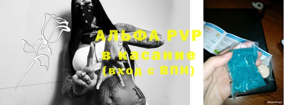 apvp Вяземский