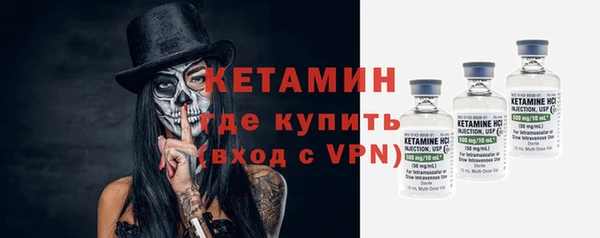 прущие грибы Горно-Алтайск