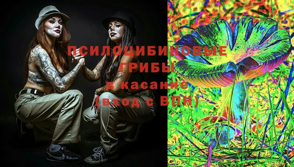 apvp Вяземский