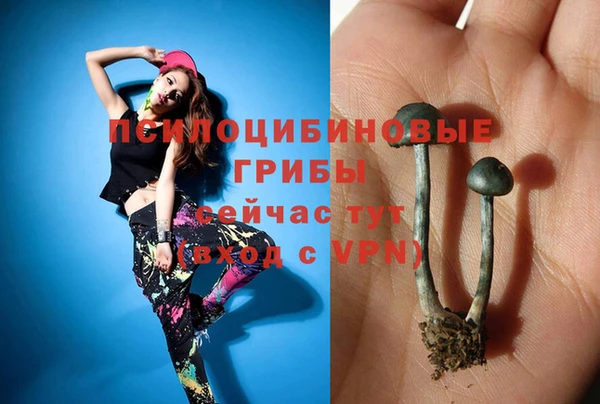 apvp Вяземский