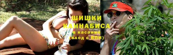 apvp Вяземский