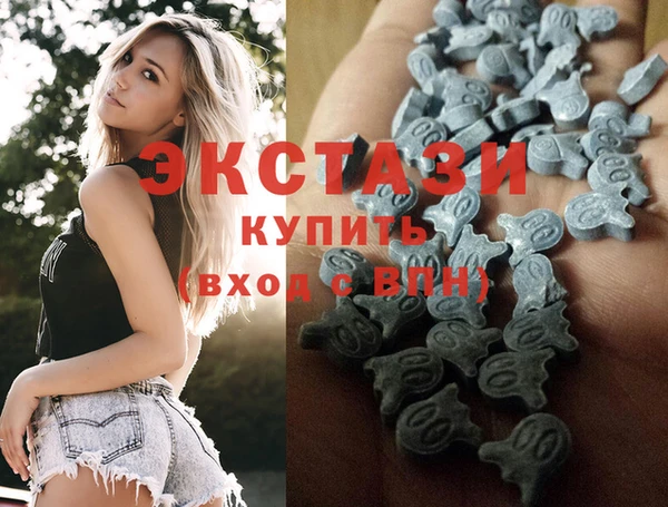 apvp Вяземский
