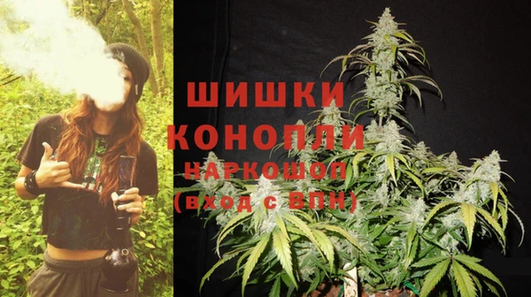 apvp Вяземский