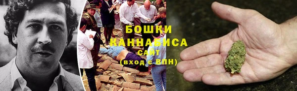 apvp Вяземский