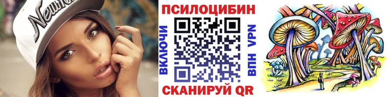 Псилоцибиновые грибы Cubensis  Злынка 