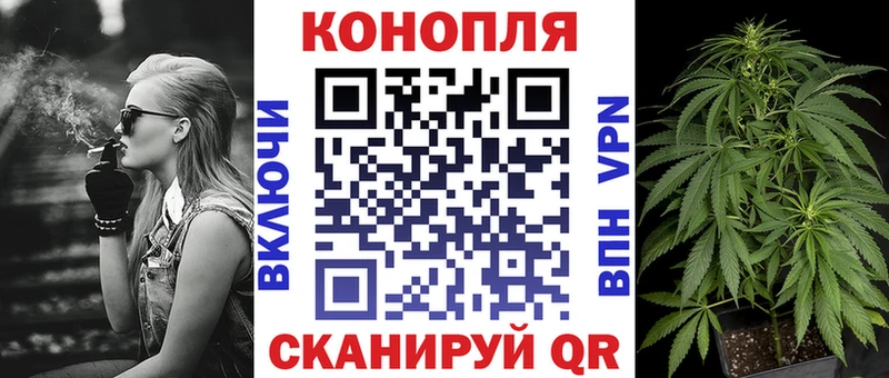 Бошки марихуана сатива  Злынка 